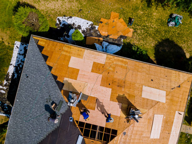 Best Commercial Roofing Services  in Monroeville, AL