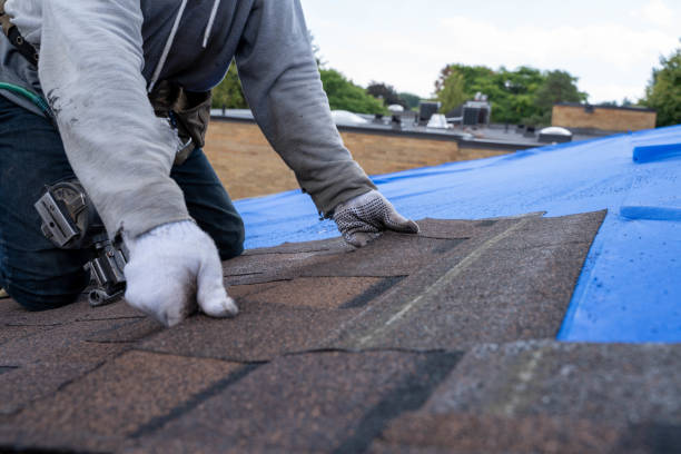 Best Flat Roof Repair Services  in Monroeville, AL