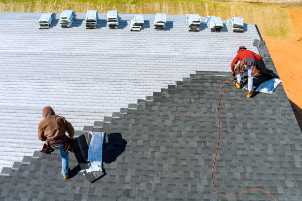 Best Roof Gutter Cleaning  in Monroeville, AL