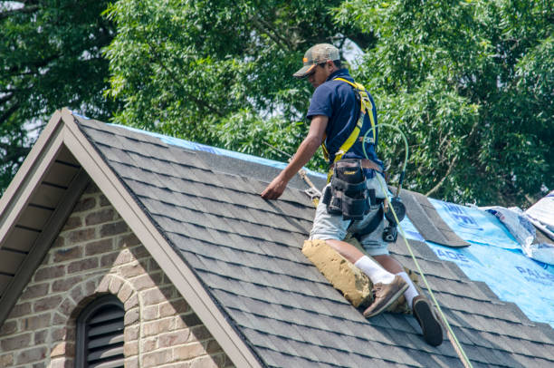 Best Storm Damage Roof Repair  in Monroeville, AL